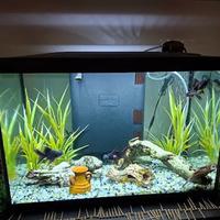 ACQUARIO MARINA Led 75 Litri