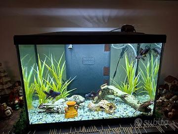 ACQUARIO MARINA Led 75 Litri