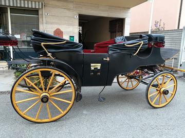 carrozza 