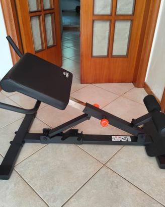 Panca Romana hyperextension 