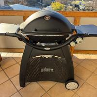 Griglia Weber Q 3200