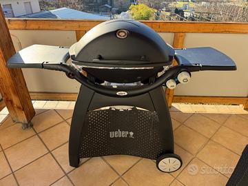 Griglia Weber Q 3200