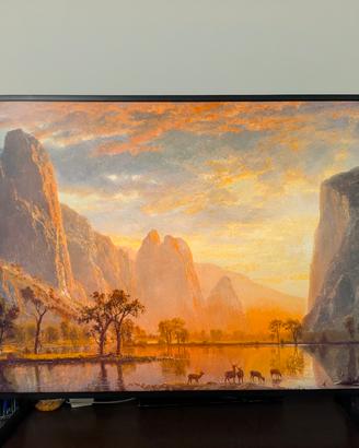 Samsung The Frame 50" – Condizioni pari al nuovo