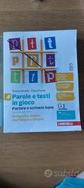 parole e testi in gioco