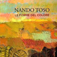 NANDO TOSO Le forme del colore.2015 Pagine 190