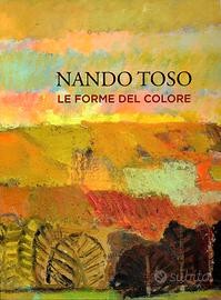 NANDO TOSO Le forme del colore.2015 Pagine 190