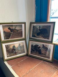 Stampe ornitologiche Brehms Tierleben fine ’800