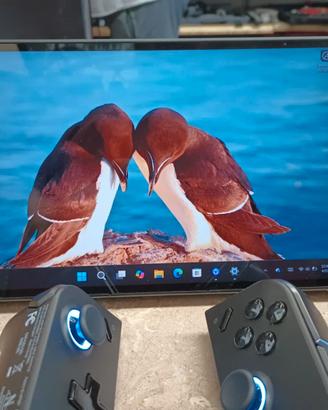 Lenovo Legion GO 1tb SSD in garanzia