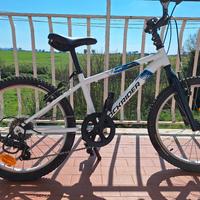 Bici Bambino 20", possibilità manubrio rialzato