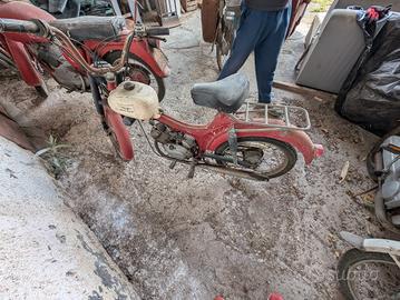 moto Guzzi dingo