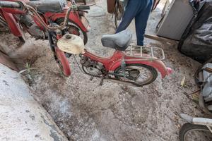 moto Guzzi dingo