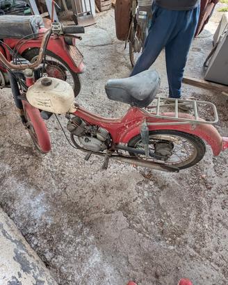 moto Guzzi dingo