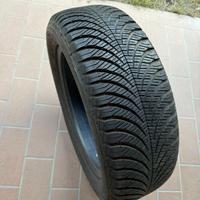 Gomme 195/55R15 87H goodyear 4 stagioni