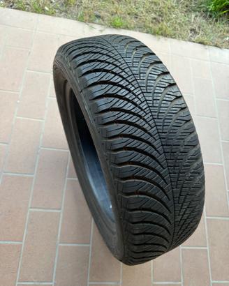Gomme 195/55R15 87H goodyear 4 stagioni