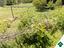 Immagine 29