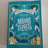 Maydala Express di Baccalario e Morosinotto