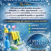 Impresa di pulizia