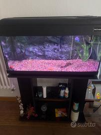 Acquario da 100 litri