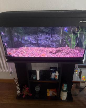 Acquario da 100 litri