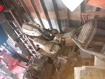 Motozzappa pantera a benzina