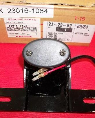 Luce targa Kawasaki Ltd 450