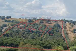 Terreno - Caltagirone