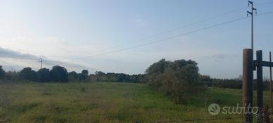 Terreno agricolo