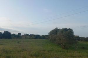 Terreno agricolo