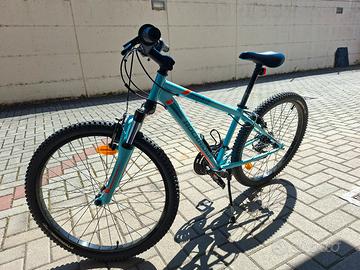 MTB 24