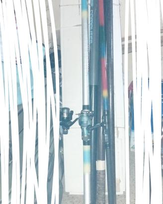 canne da pesca e attrezzature 