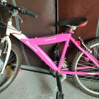 Mountain bike bambina 24'