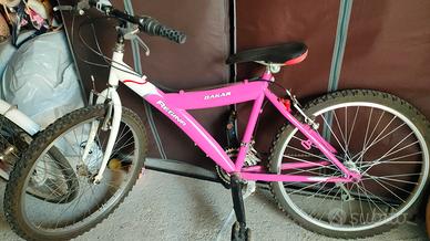 Mountain bike bambina 24'