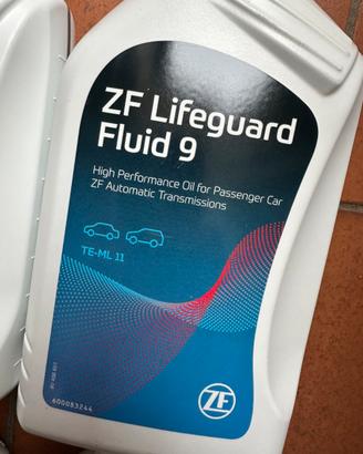 ZF lifeguard fluid 9 cambio automatico Fiat 500x