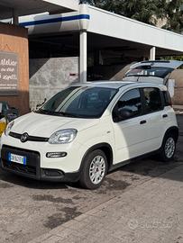 Fiat panda hybrid 2023 PERFETTA!