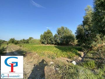 Terreno di 5190 m² a Mondragone