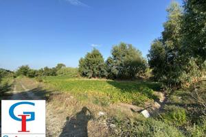 Terreno di 5190 m² a Mondragone