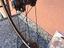Immagine 3