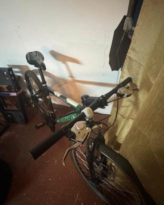 bicicletta 