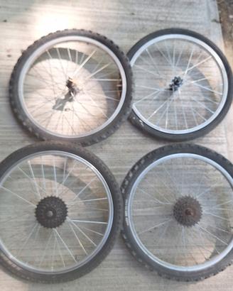 Bicicletta ruote 20