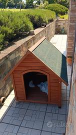 cuccia per cani