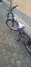 bici da 24
