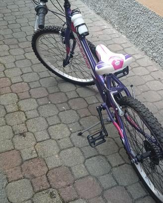bici da 24