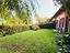 Immagine 11
