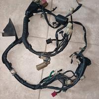 Impianto elettrico Honda Shadow VT 600 1995