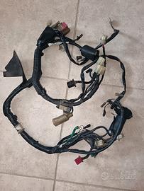 Impianto elettrico Honda Shadow VT 600 1995