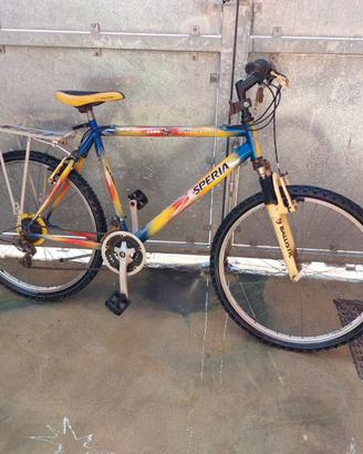 mountain bike