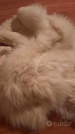 Stola di pelliccia vera