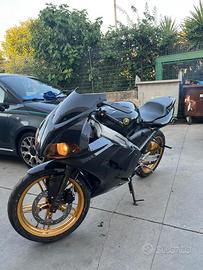 Tzr 50