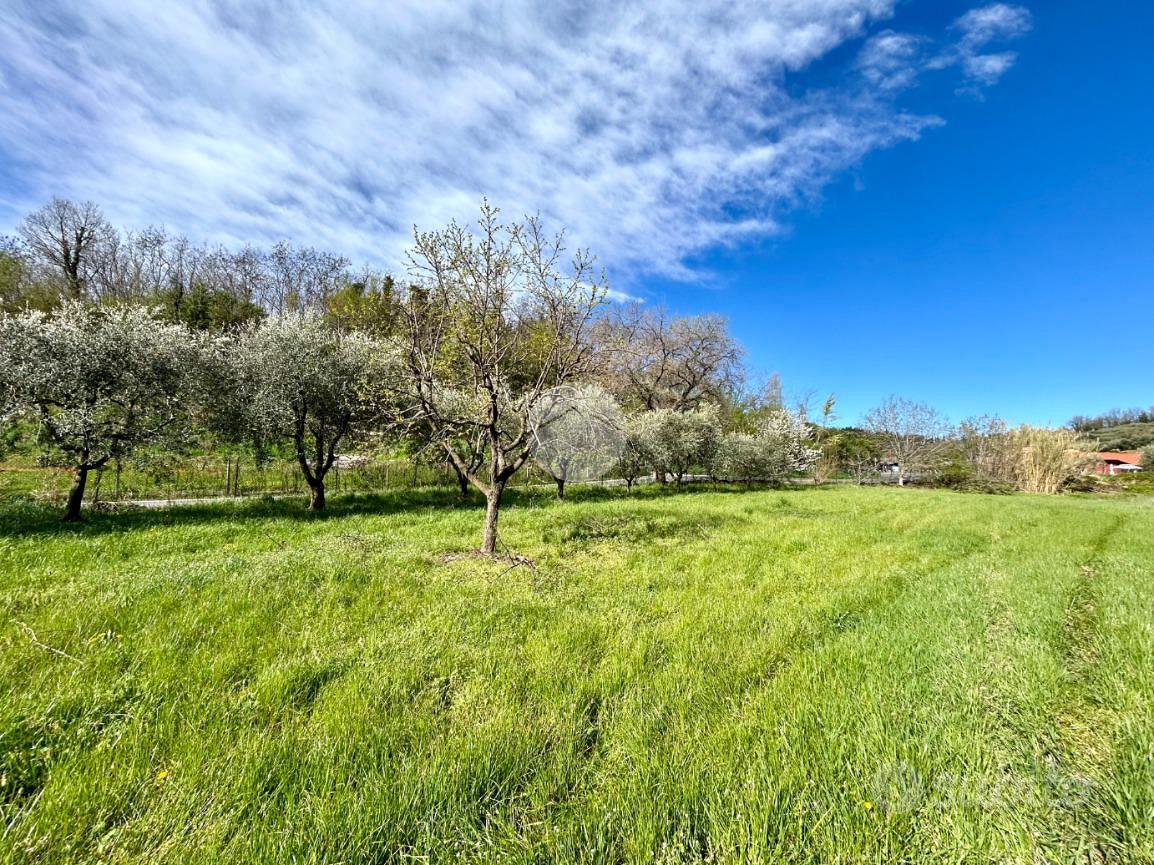 TER. AGRICOLO A BARDOLINO - Vista 2