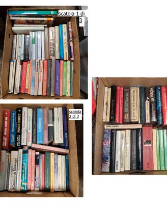 lotto 100 libri usati, grandi autori, vintage e no